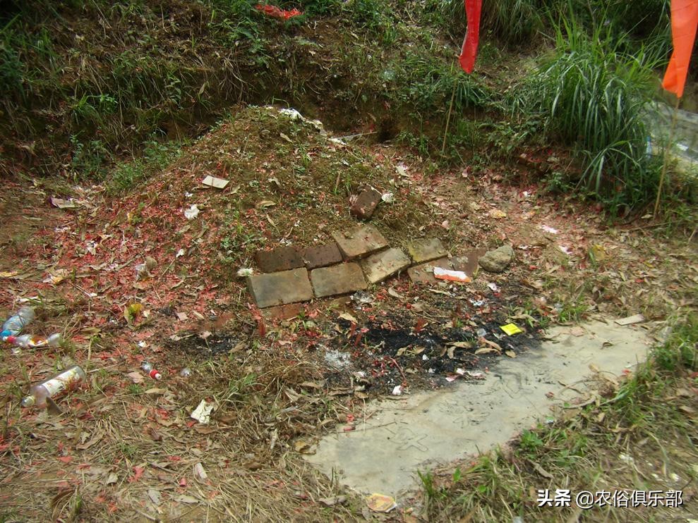 坟上不长草后代必出?上坟要留意一下_柘城网