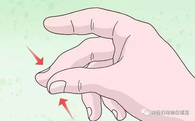 「骗了你很久的伪常识」——教你打响指（简单易懂，包教包会）