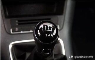 科目三详细教学，零基础学习到精通，轻松学车
