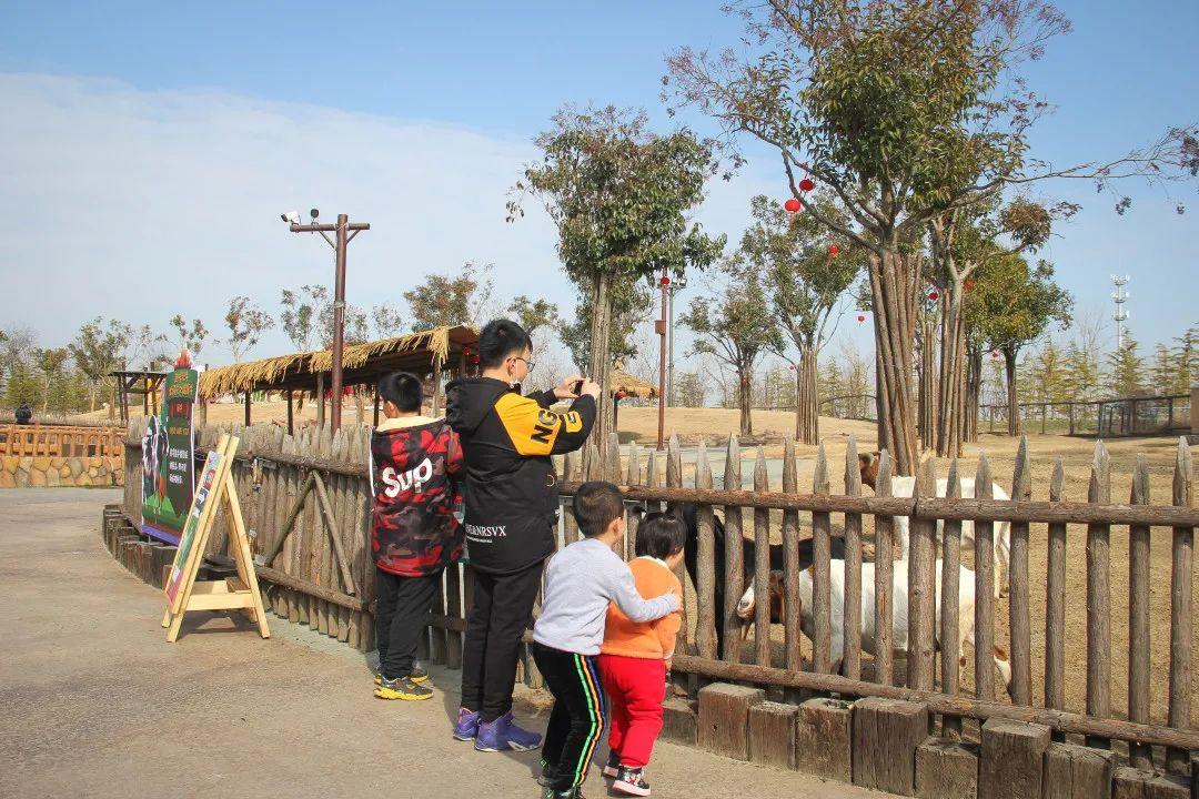 南通森林野生动物园门票成人票-开沙岛旅游网