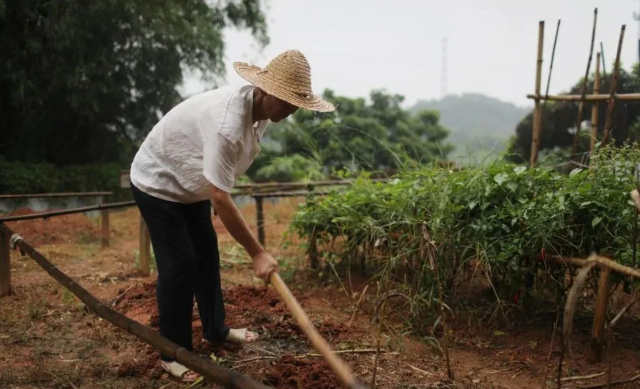卖房种地供儿子读书，鸡娃圈大佬之子缘何考上常青藤却选择了自杀