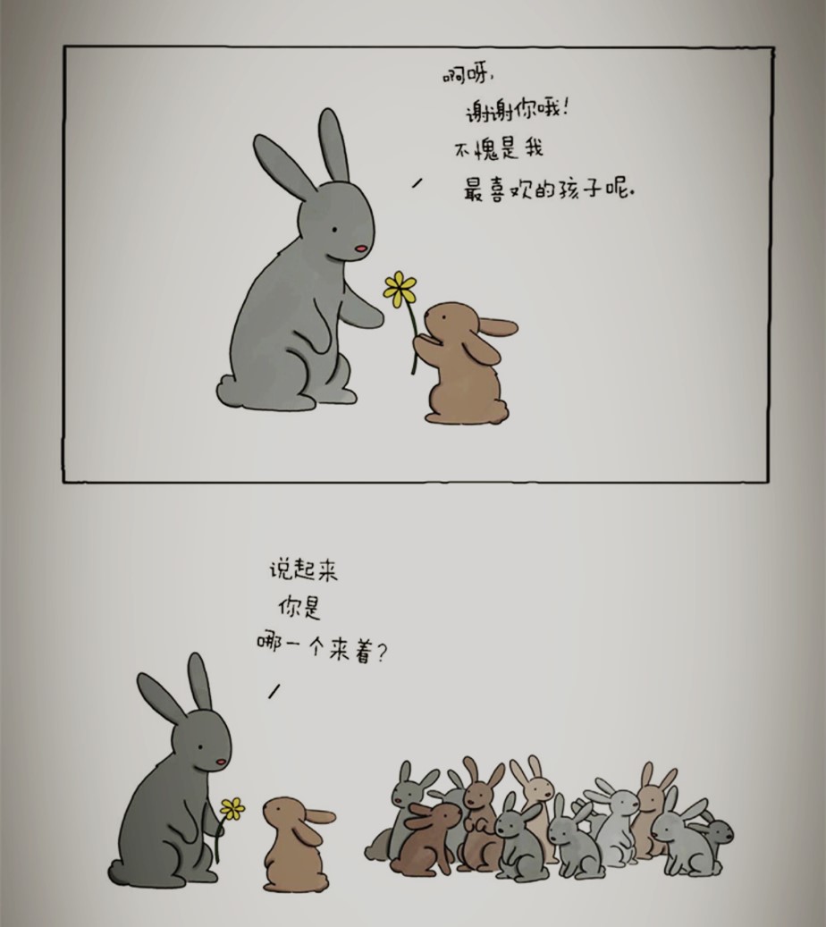 《你今天真好看》丨让大象、兔子、乌龟、蛇治愈你的不开心