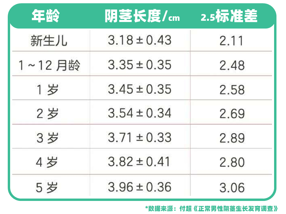 正常的睾丸有多大?图片