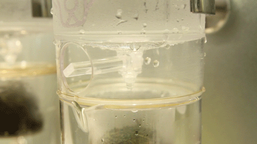 脚臭怎么办？老博士教你一招，3秒去除异味