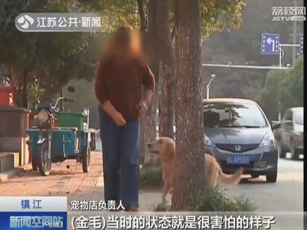 金毛猎犬标价15元一斤菜市场当“肉狗”卖 好心人花750元买下