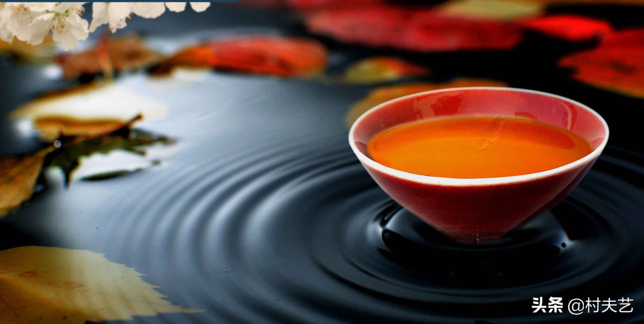 老鹳草泡酒的功效与作用-我的快乐小窝