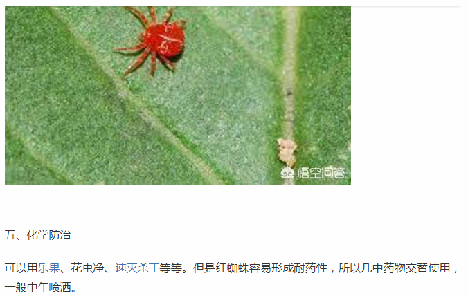 花无缺大学贷被禁用了（家庭养花中农药的使用）