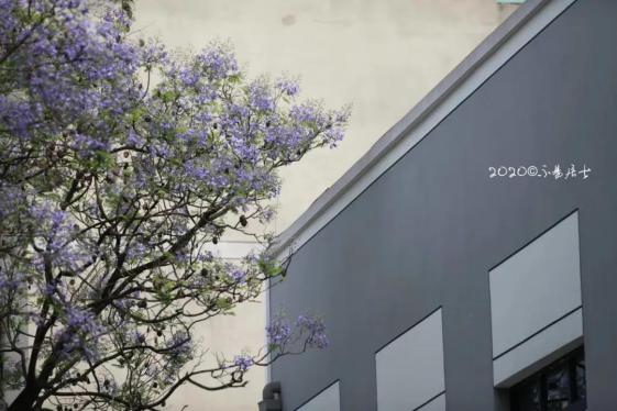 提前曝光！重庆