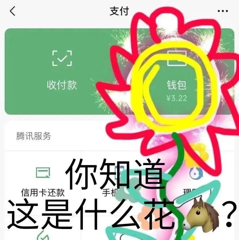 表情包：你知道这是什么花吗？