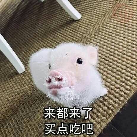 猪猪表情包：能吃是福，吃饱了才有力气减肥