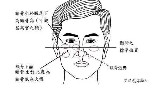 肥头大耳不算贵，这六种面相真有钱