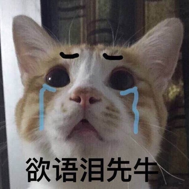 猫咪表情包合集｜大老虎嗷呜嗷呜