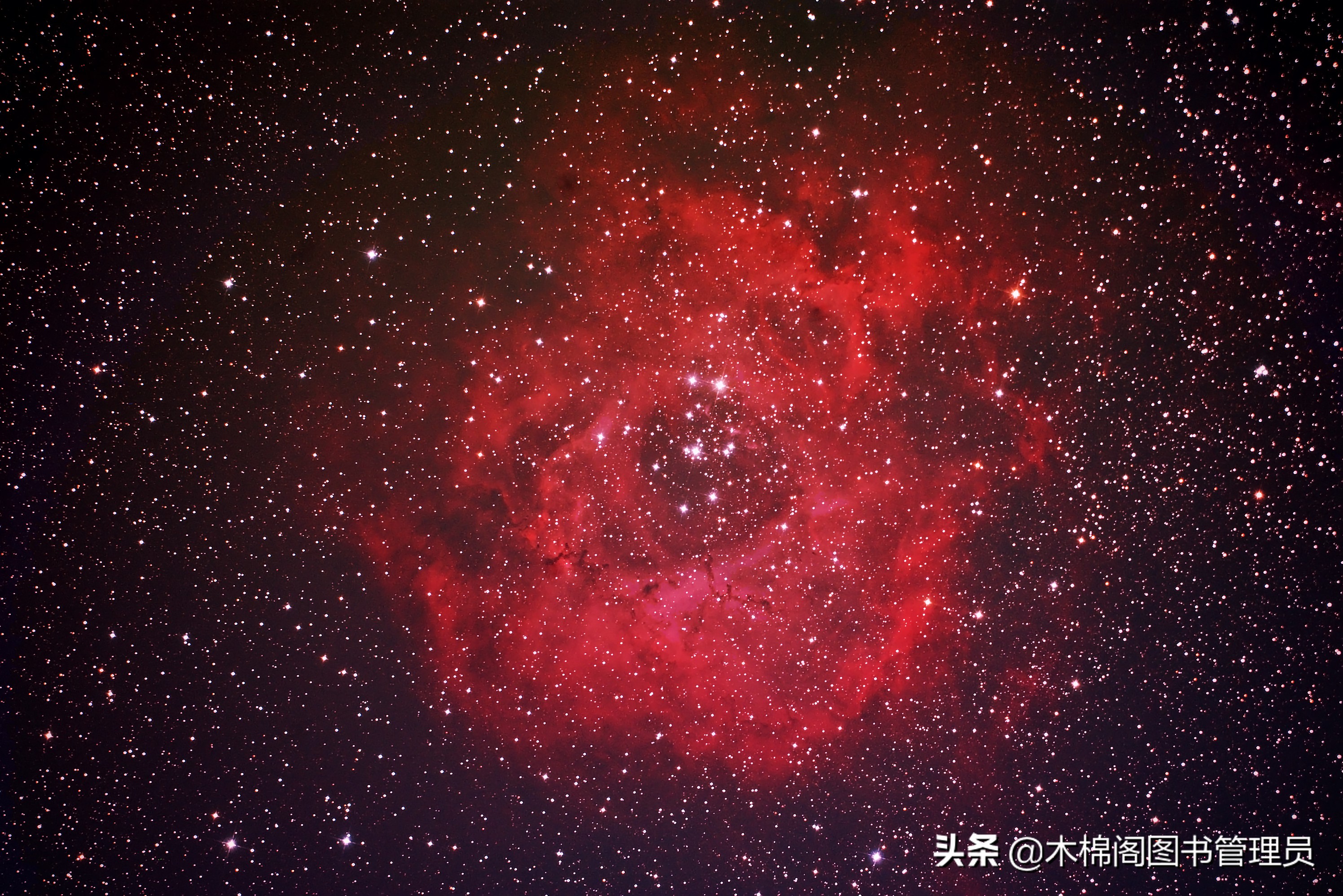 麒麟座星座漫游麒麟座