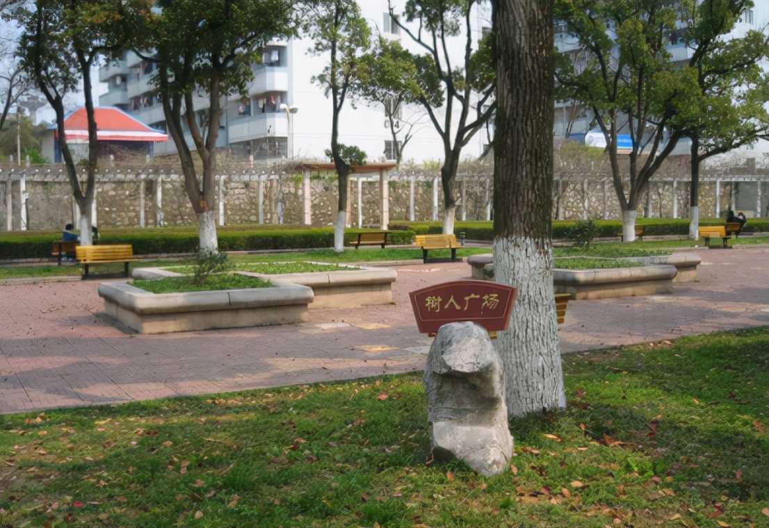 双一流大学评选接近尾声，4所大学优势明显，2所大学或将掉队