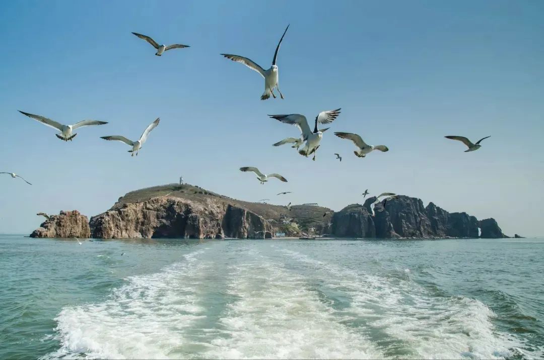 招生季|简章来了，威海海洋职业学院14507呼叫你！