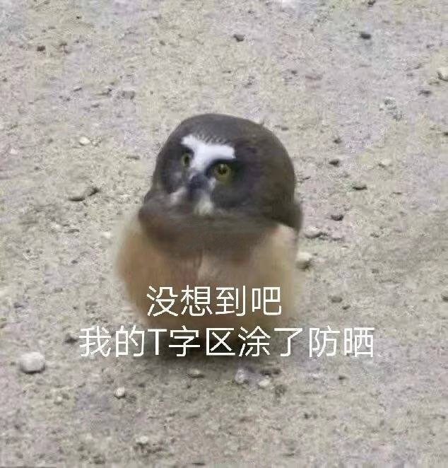 表情包：被你封印了