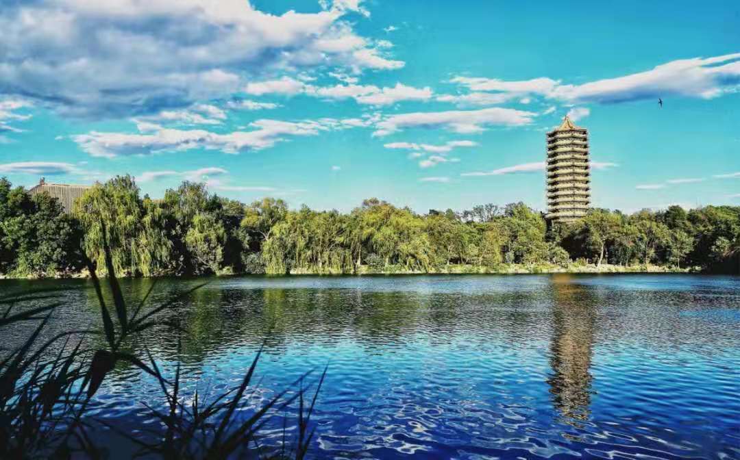 全国排名大学（中国高校最新排名）