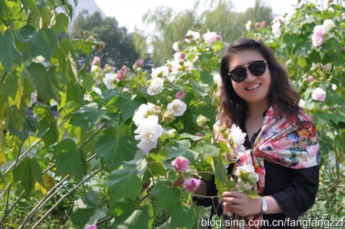 花媲人美争艳芳 人逊花香输情长