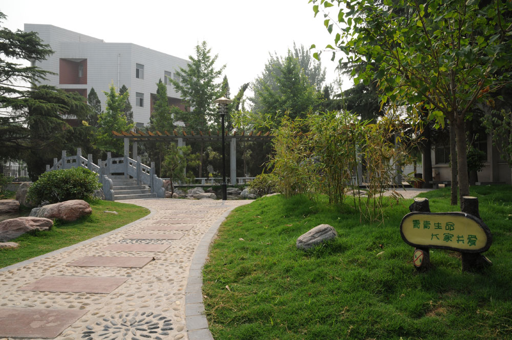 河南省新乡市“名震一方”的四大高中，2020年高考成绩说话