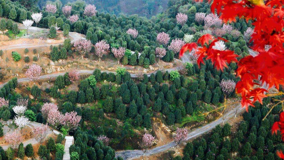 宜賓景點旅遊(旅遊踩坑) - 悅聞天下