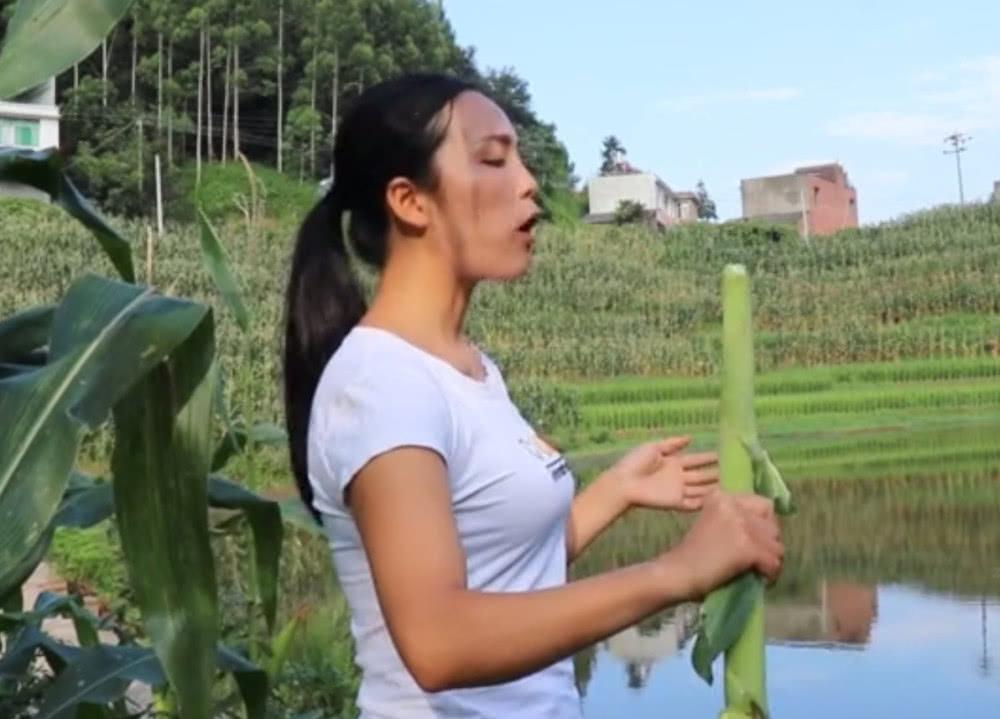 夏季吃水果的人要注意，最没有“好处”的甘蔗，除了糖没什么营养