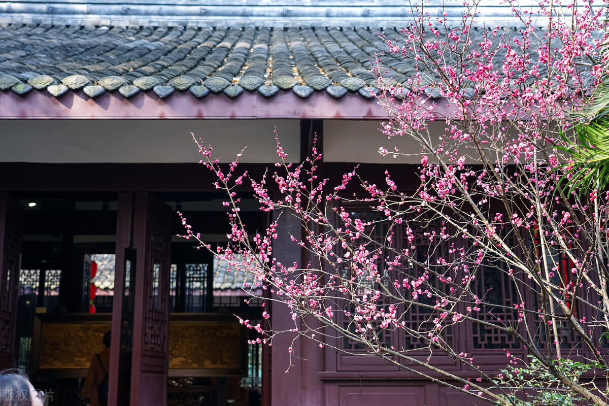 自是春来不觉去偏知，两首词说尽了人世间的遗憾和无可奈何