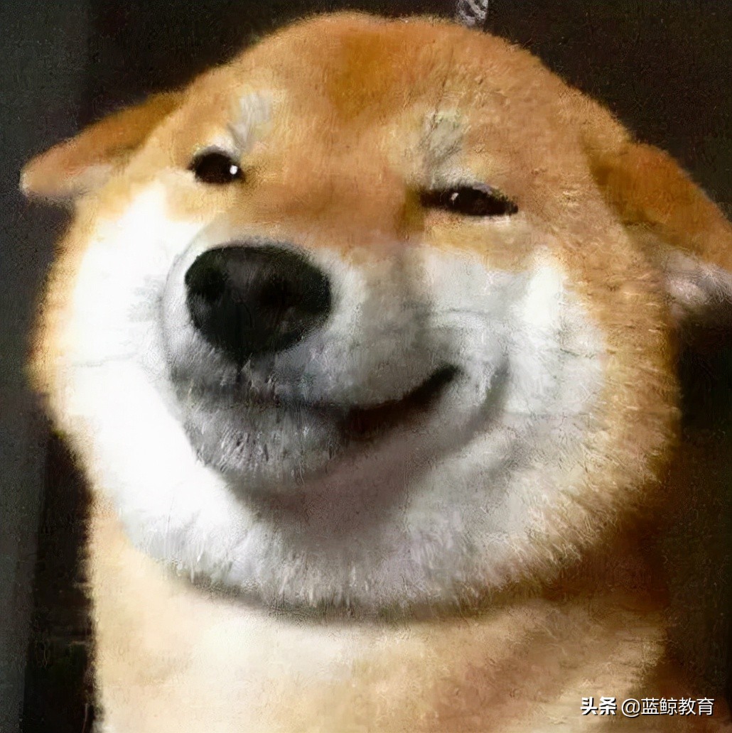 有道词典笔专业版3测评：再见了词典，不用你也能远航