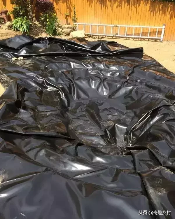 院子里应该有个小池塘，没有就自己动手挖个！（附实际操作图）