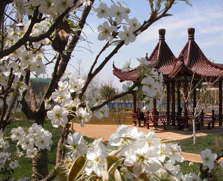 昆明理工大学2015-2017录取分数线