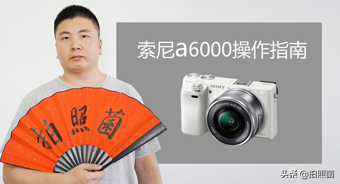 相机上的自定义按键C1设置成什么最好？拍照菌介绍二种新玩法