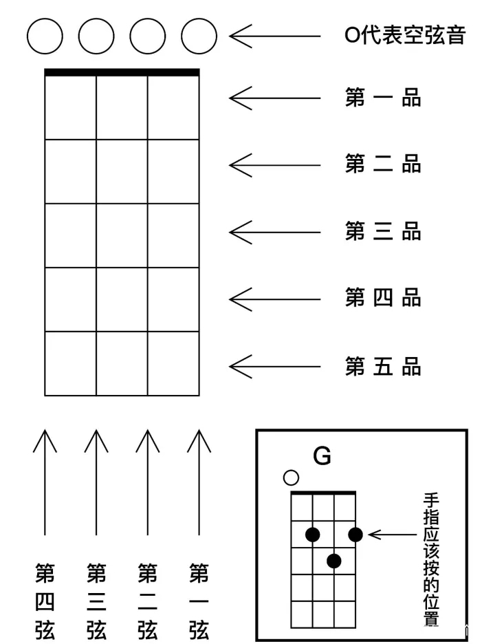 尤克里里傻瓜式教程图片