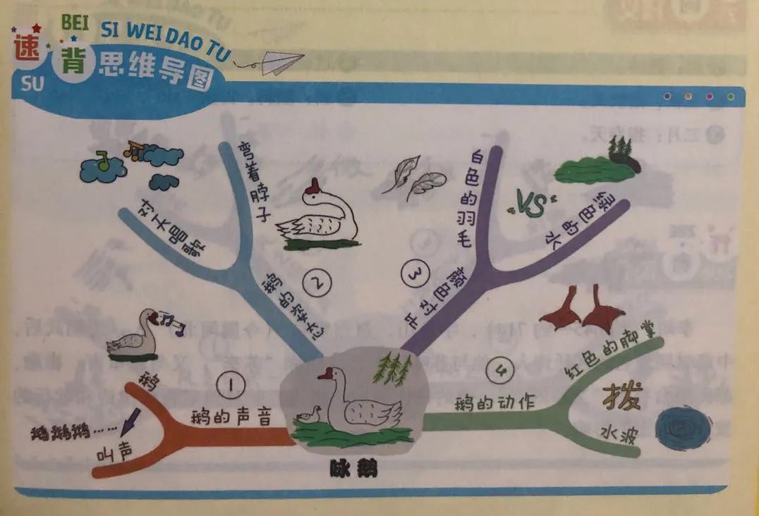 思维导图古诗词《鹅》