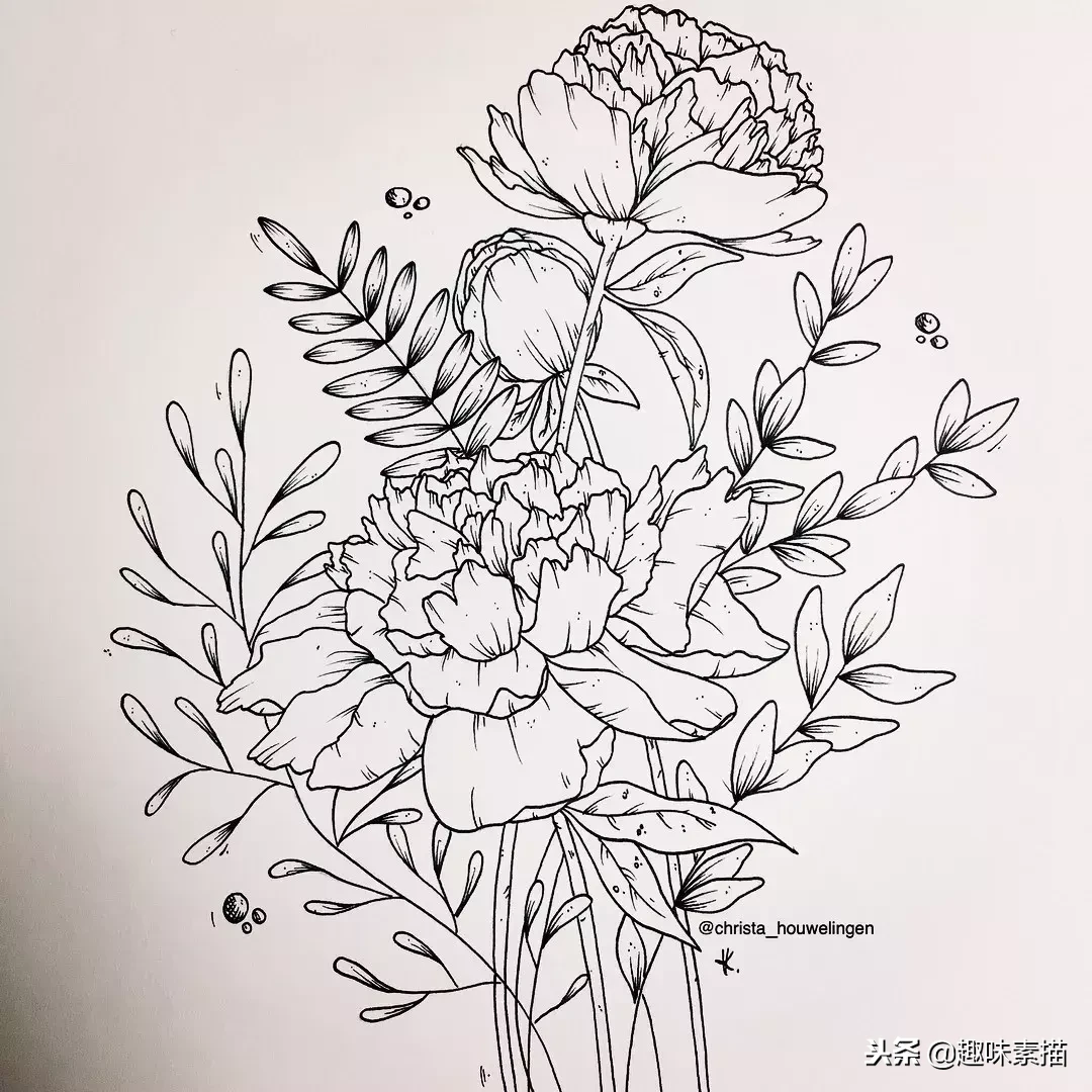 老师:总是埋怨线条画不好,这篇针管笔手绘很适合你入手