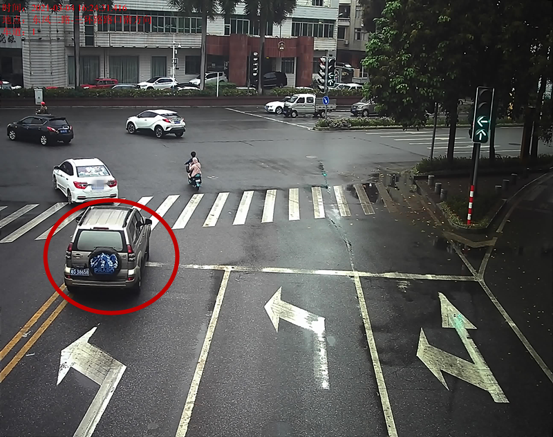 交通违法曝光！