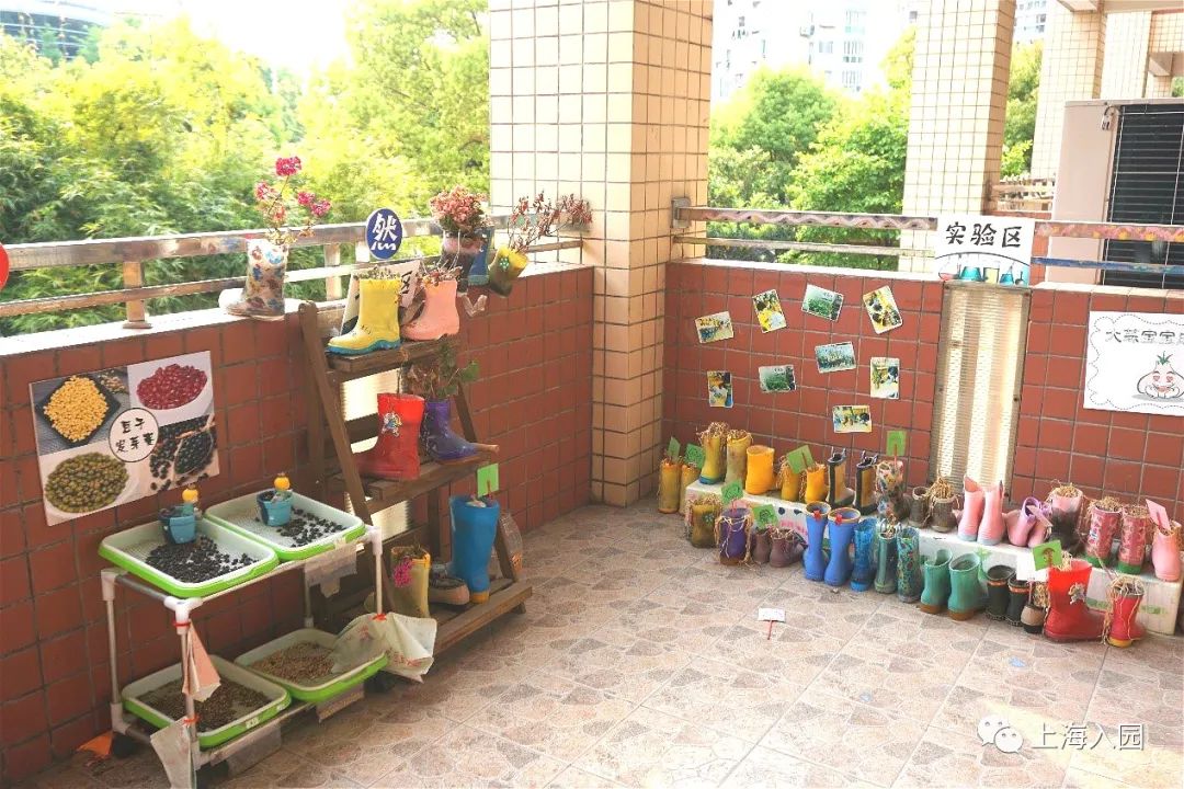 今年竟学费降了！上海首屈一指的热门民办一级园！全市招生有托班