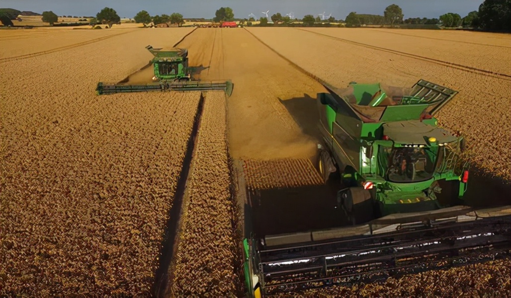 大麦还没卖出去小麦就被马来西亚查扣澳大利亚被制裁了