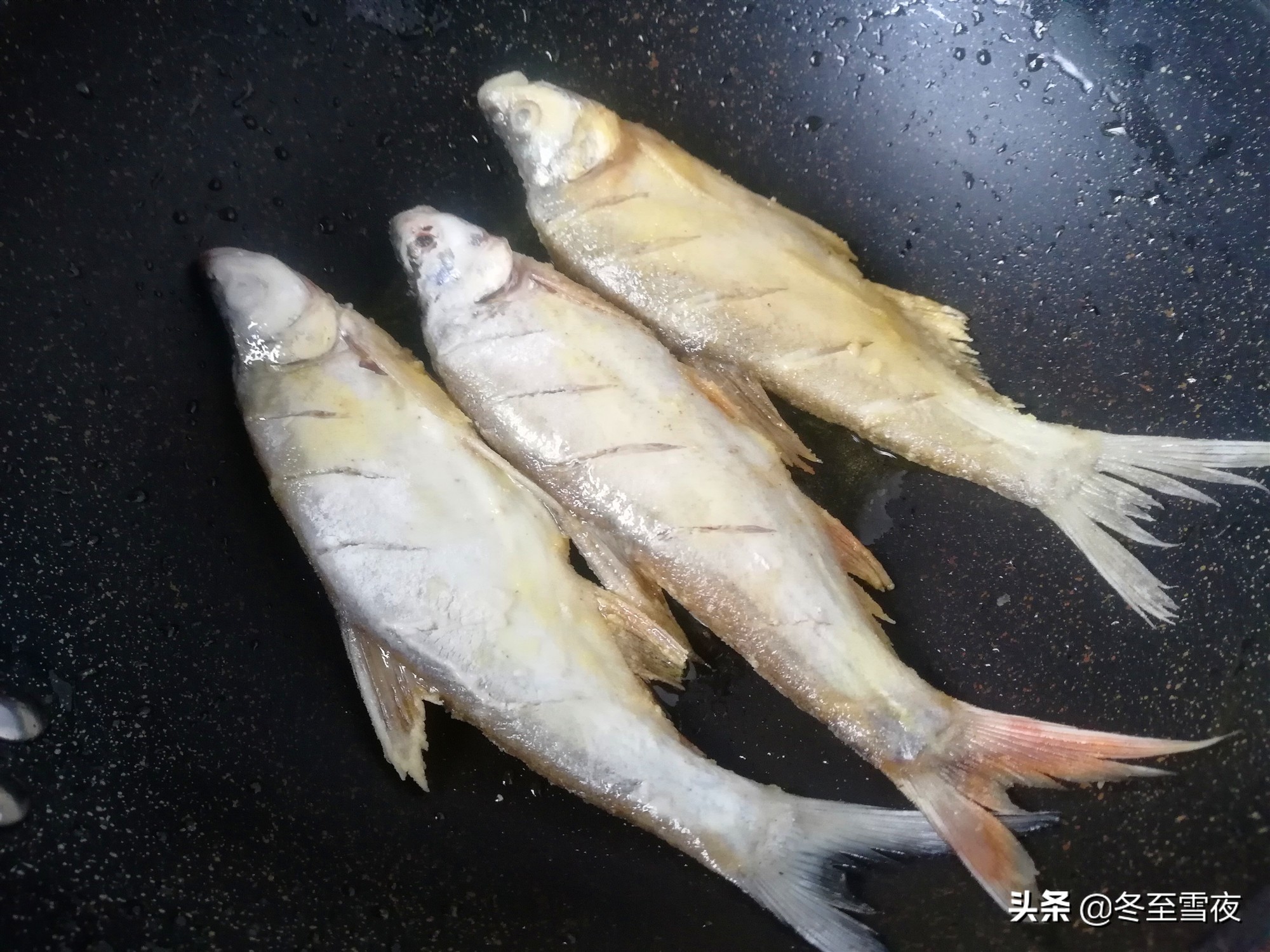 島子魚的做法,島子魚的做法大全集