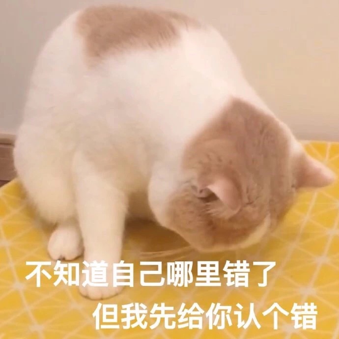 猫咪表情包合集｜不要逼我亮出武器