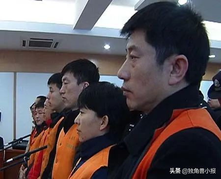 黑龙江陈相贵与“万里大造林”神话的破灭