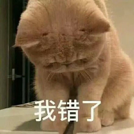 给对象道歉的表情包合集｜送你朵花，我们和好吧