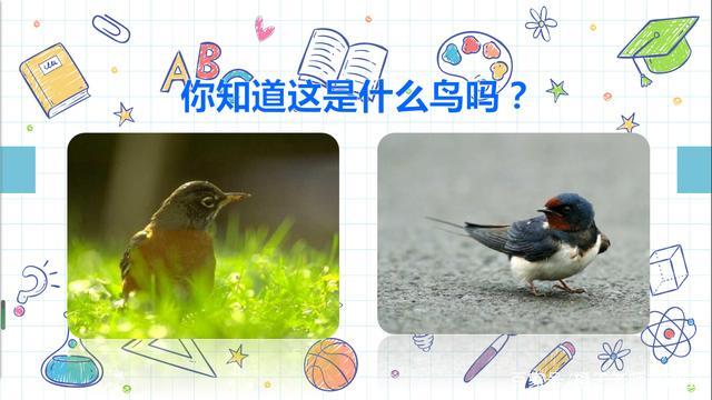 小燕子飞过田野，剪刀般的尾巴划过蓝天，欢快地唱着春天的歌。
