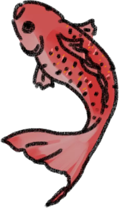 重要！7千字长文，看懂北大软微招生专业目录与考试科目变动