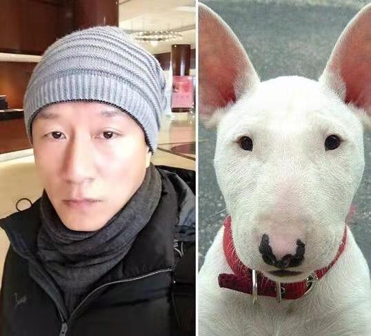 撞脸孙红雷的牛头梗