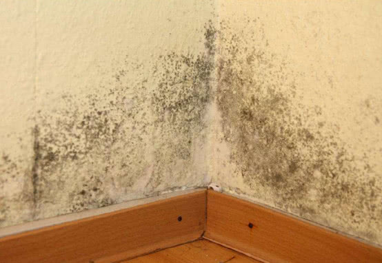 住在一楼的家里太潮湿、有霉味？看完这里就可以跟它说再见了