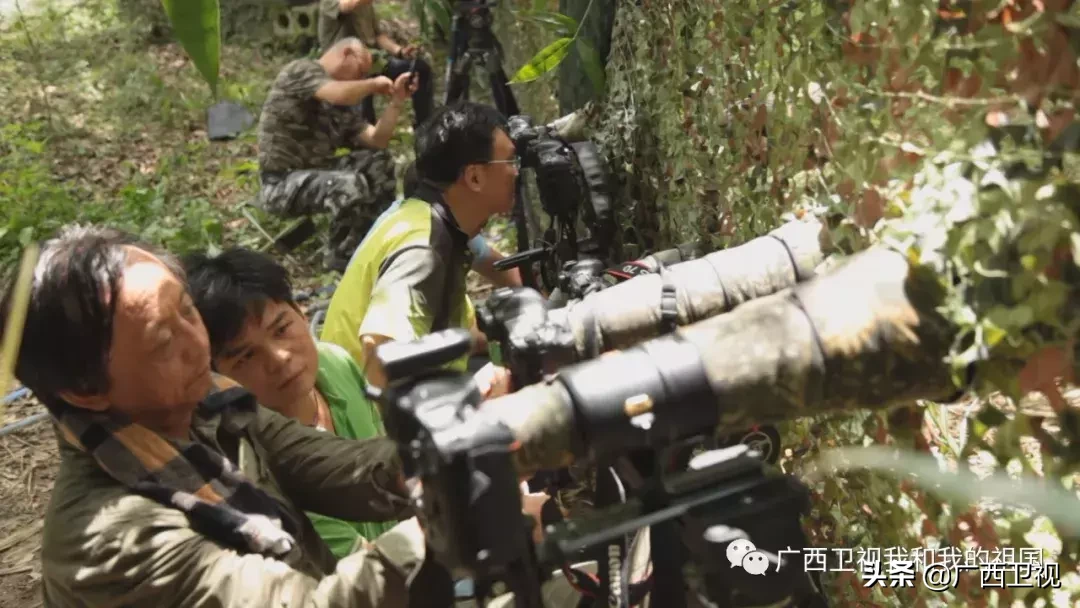 为造地雷浑身是伤，俘虏级别最高国民党将领……他们都是解放广西的英雄