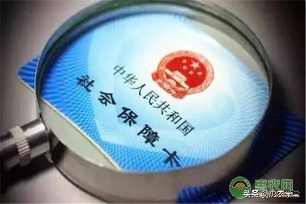 社保卡余额如何查询？这五个方法轻松查询