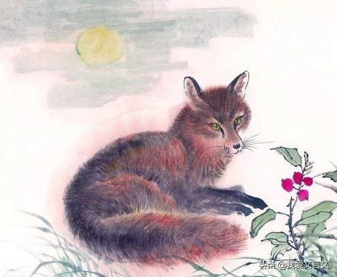 经典文言文赏析｜与狐谋皮