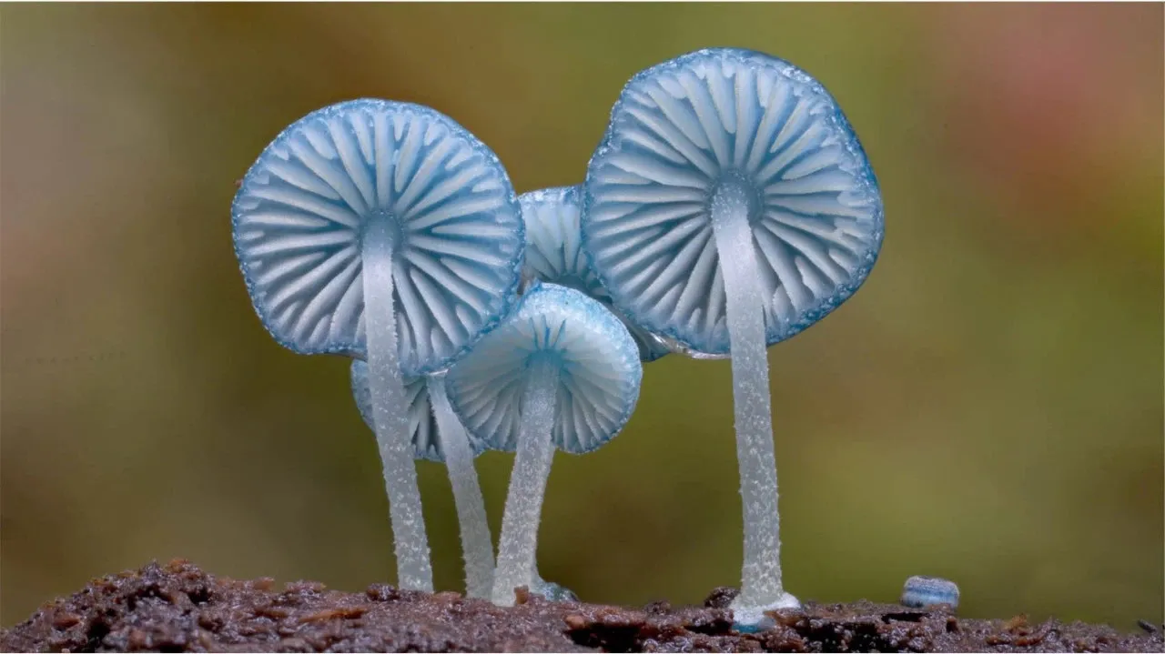 注意力训练培训班（杭城）