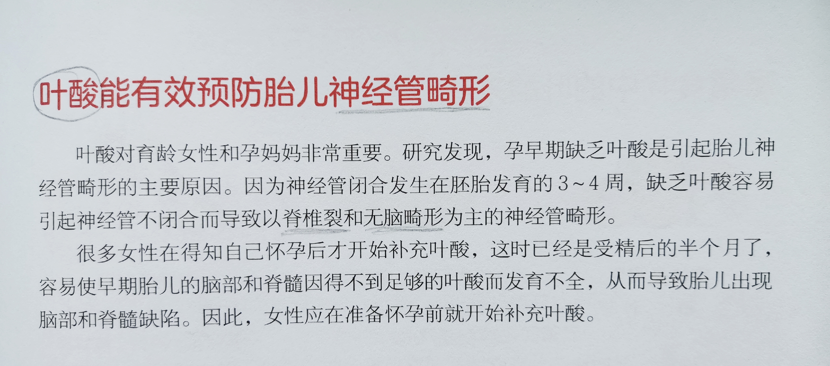 怀孕前，为什么要提前3个月吃叶酸？我从书上得到了答案