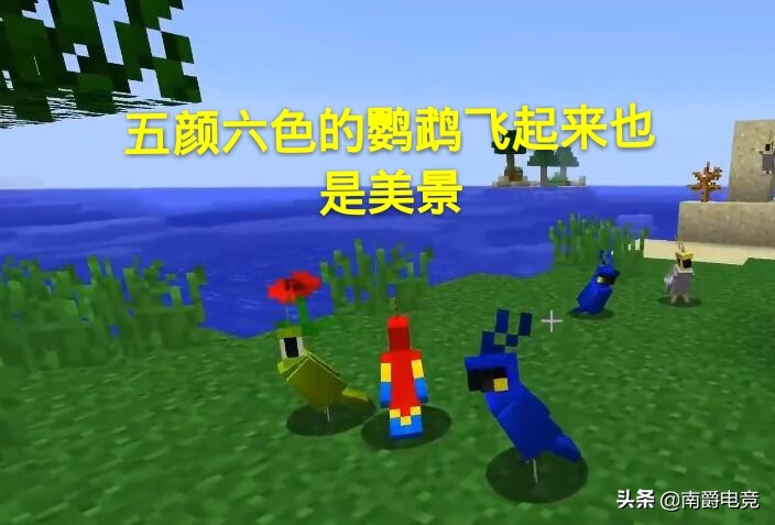我的世界：六种带有翅膀的生物，超过一千万玩家只见过其中5个！